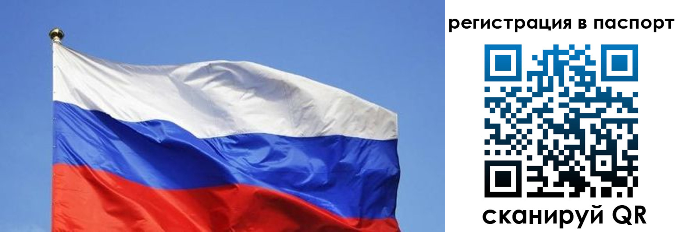 прописка в квартире в Ржеве